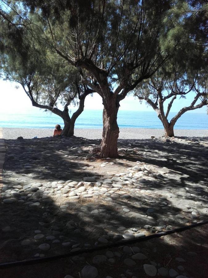 Pericles Traditional Cretan Home Stavrokhorion Luaran gambar